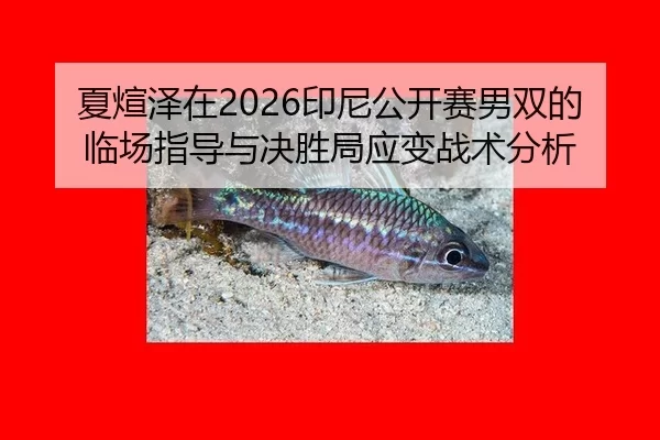 xia-xuan-ze-zai-yin-ni-gong-kai-sai-nan-shuang-de-lin-chang-zhi-dao-yu-jue-sheng-ju-ying-bian-zhan-shu-fen-xi-2-891.jpg