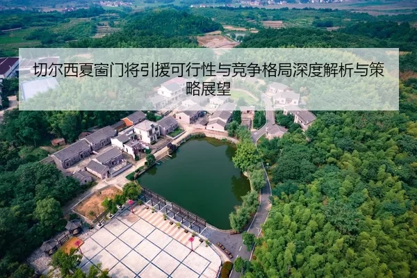 切尔西夏窗门将引援可行性与竞争格局深度解析与策略展望