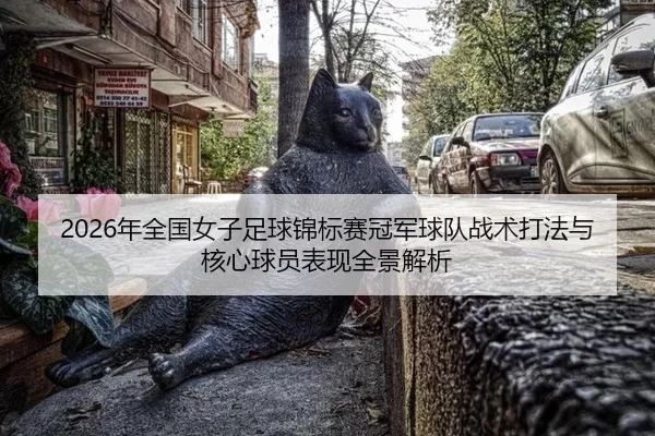 nian-quan-guo-nv-zi-zu-qiu-jin-biao-sai-guan-jun-qiu-dui-zhan-shu-da-fa-yu-he-xin-qiu-yuan-biao-xian-quan-jing-jie-xi-2-235.jpg